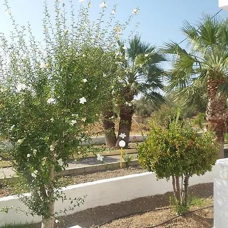 Alia And Ξενοδοχείο 3*