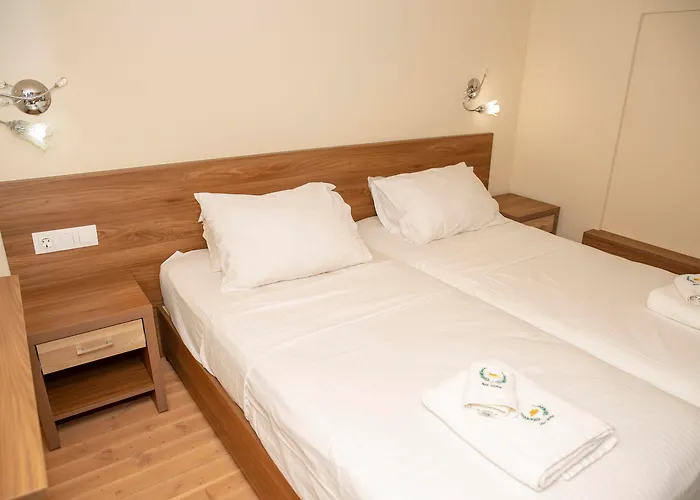 Alia And האראקי